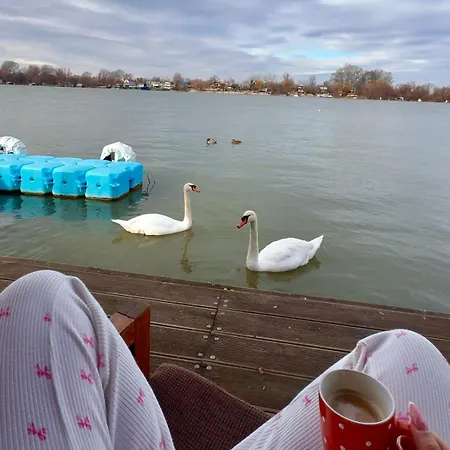 The Nest Raft Belgrade